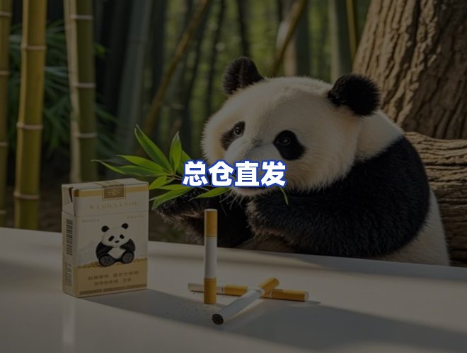 专业团队